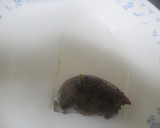 わらび餅＆生春巻きの皮で水まんじゅう風作り方5写真