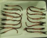 ﾚﾝｼﾞで簡単☆魚の骨ｽﾅｯｸ作り方2写真