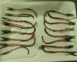 ﾚﾝｼﾞで簡単☆魚の骨ｽﾅｯｸ作り方2写真