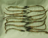 ﾚﾝｼﾞで簡単☆魚の骨ｽﾅｯｸ作り方3写真