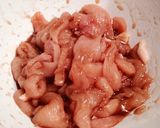 ベトナム料理★鶏肉と生姜のヌクマム炒め作り方2写真