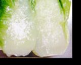白身魚のふわふわロール白菜作り方3写真