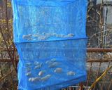 ワンコ用~砂肝ジャーキー作り方2写真