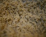 ちりめん山椒作り方7写真