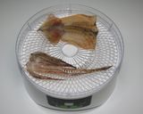 簡単☆食品乾燥機でイカの一夜干し&スルメ作り方6写真