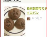 自家製酵母でチョコパン作り方10写真