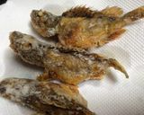 とろーりチーズのカサゴの唐揚げ♪作り方7写真