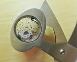 ホタテのタルタル*漁師風作り方5写真