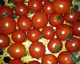 キラキラなミニトマト作り方1写真