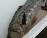 スズキのバター醤油作り方1写真
