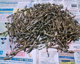 つくしの卵とじ作り方1写真