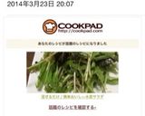 祝☆話題入り混ぜるだけ♪簡単水菜サラダ作り方9写真