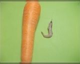 小さなエビでさつま焼き♪作り方1写真
