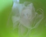 簡単♡大根スライス和風パスタ*作り方2写真