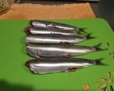 骨まで柔らか‼鰯のさっぱり煮作り方1写真