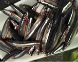 【きびなご唐揚】魚屋さん直伝の簡単レシピ作り方1写真