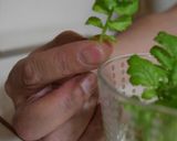 トッピング用❤️大根葉作り方6写真