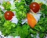 野菜サラダ作り方3写真