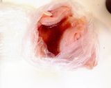 ご飯お代わり～✽和風おろしチキンステーキ作り方4写真