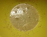 春キャベツ大量消費★超簡単おつまみサラダ作り方3写真