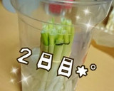 エコ！万能ねぎ＊保存＆栽培しよ～♬作り方7写真