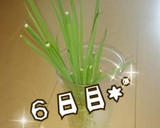 エコ！万能ねぎ＊保存＆栽培しよ～♬作り方10写真