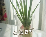 エコ！万能ねぎ＊保存＆栽培しよ～♬作り方9写真