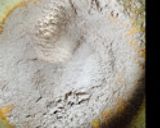 イチゴとラムレーズンのロールケーキ作り方9写真