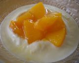 生クリームｉｎヨーグルトアイス作り方3写真