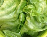 ☆時短☆レタスをシャキッと復活！作り方2写真