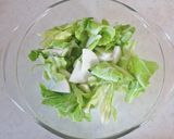春キャベツと大根のさっぱり和え（酢の物）作り方1写真