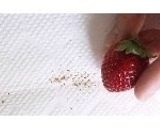 苺とバナナのタルト♡簡単☆本格的な味♪作り方4写真