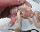 手羽元の✿チューリップのから揚げ✿塩麹味作り方2写真