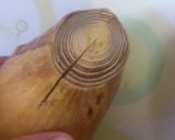 たけのこの土佐煮作り方8写真