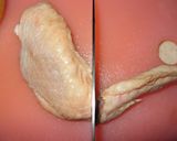 市販のルーでも美味しい☆カレーライス作り方1写真