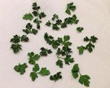 ドライde便利♡イタリアンパセリ塩作り方8写真