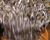 代々伝わる伝統のいかなごの釘煮★美味！作り方8写真