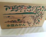 自己流マーマレード（苦味もうま味！作り方1写真