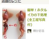 全工程写真付簡単！ホタルイカの下ごしらえ作り方5写真