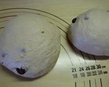 プレゼントミニカンパーニュ（黒糖ベリー）作り方1写真