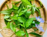 ヨメナの胡麻和え作り方1写真