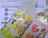和果ごこちスムージー作り方3写真