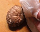保存食作り・干ししいたけの作り方作り方8写真