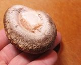 保存食作り・干ししいたけの作り方作り方10写真