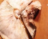 保存食作り・干ししいたけの作り方作り方12写真