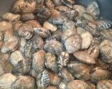あさりの酒蒸しdeあさりご飯作り方3写真