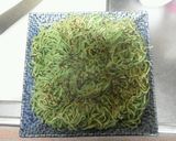 瓦そば、ちょっとアレンジ。作り方6写真