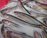 わかさぎの天ぷら・・・梅肉風味♡作り方1写真