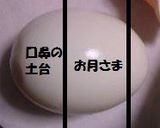 娘に自慢したいアルパカカレー作り方4写真