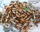 春を食べよう♪つくしご飯❀作り方1写真